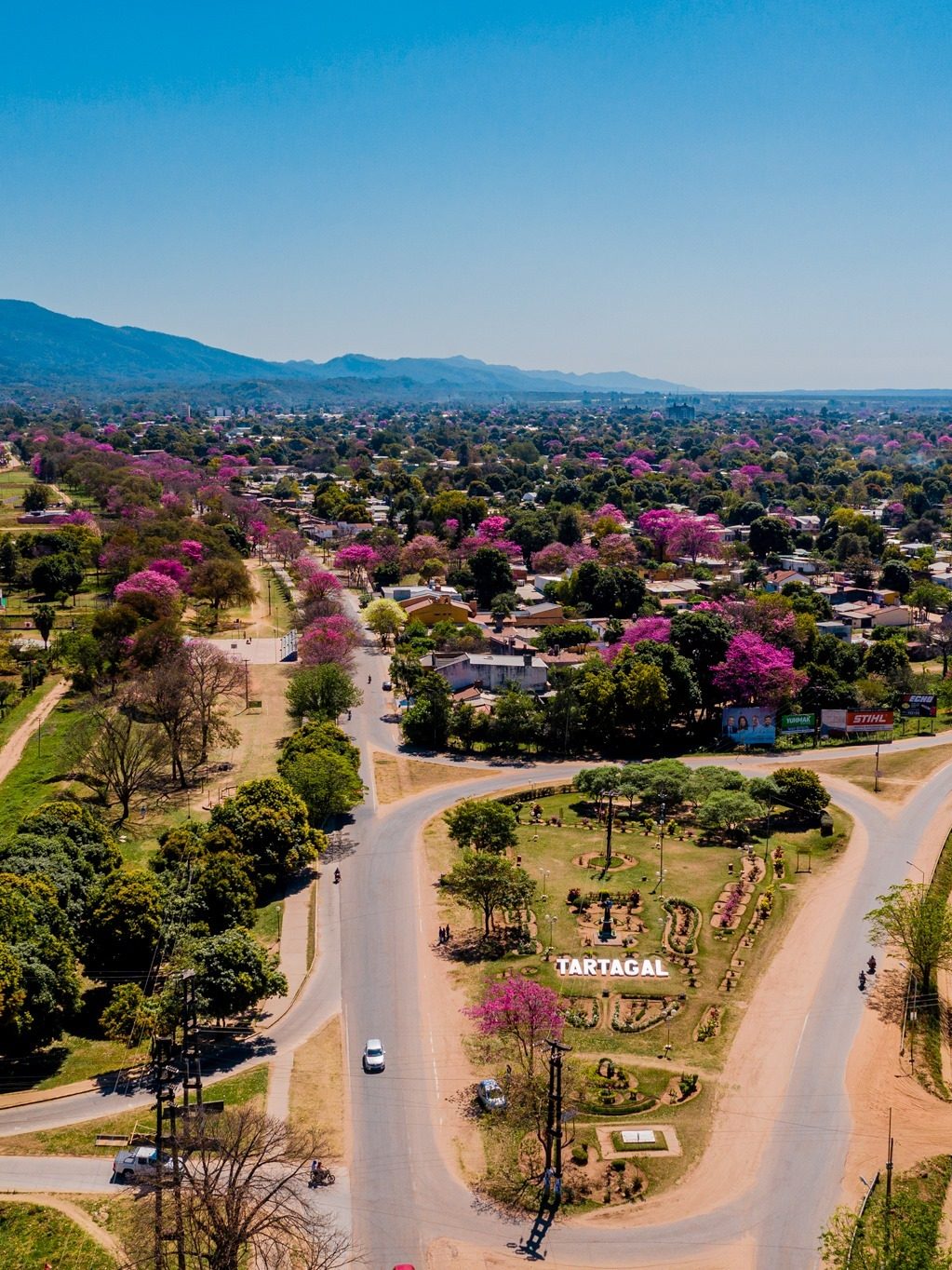 A town seen from above at Tartagal, jacaranda in flower